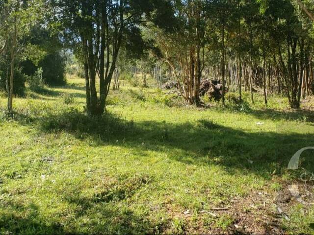 #3 - Terreno para Venta en Puerto Varas - X