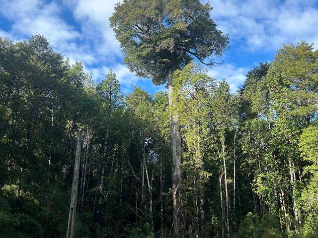 Venta en Colonia Tres Puentes - Puerto Varas