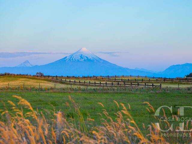 #39 - Parcela para Venta en Llanquihue - X