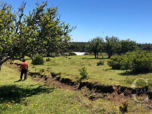 #41 - Terreno para Venta en Puerto Varas - X