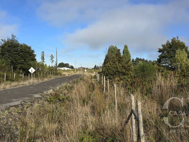 #48 - Parcela para Venta en Puerto Varas - X